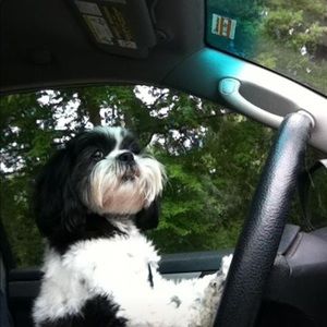 Meet your Posher, Contessa